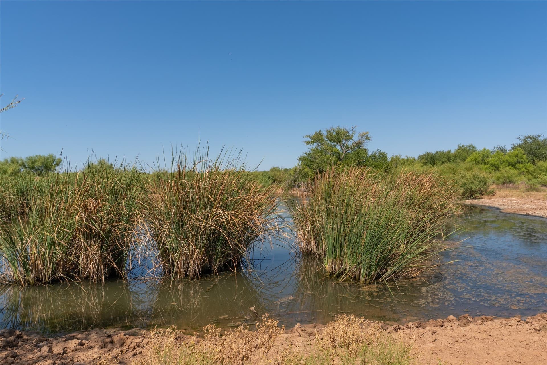 505 acres in Childress County - photo 31