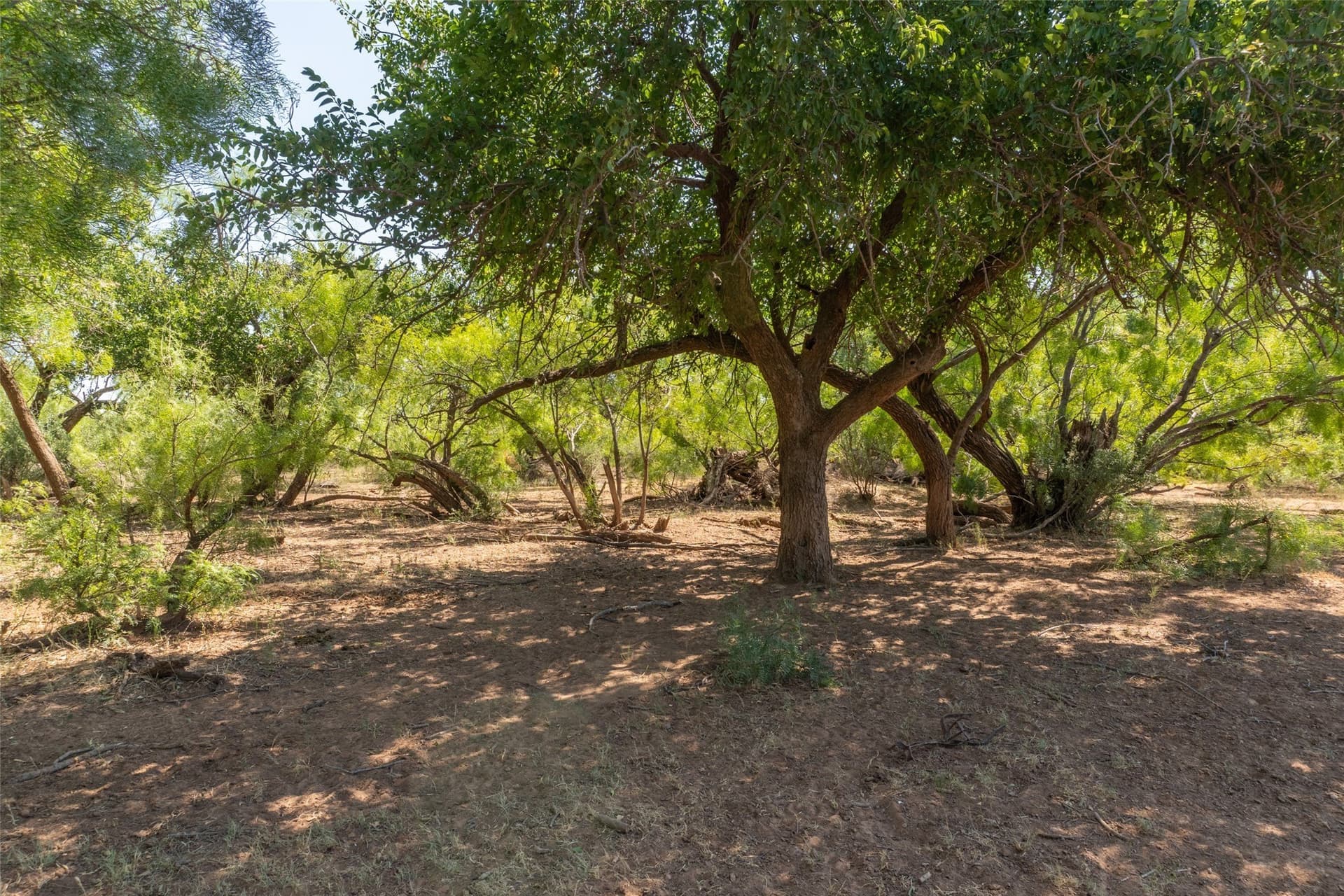 505 acres in Childress County - photo 33