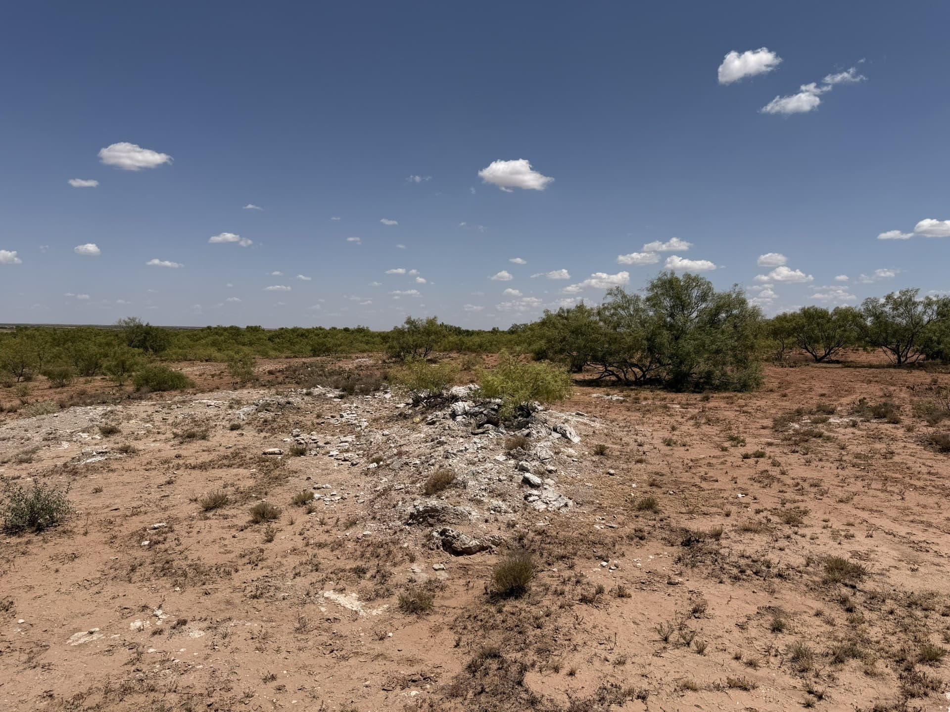 505 acres in Childress County - photo 39