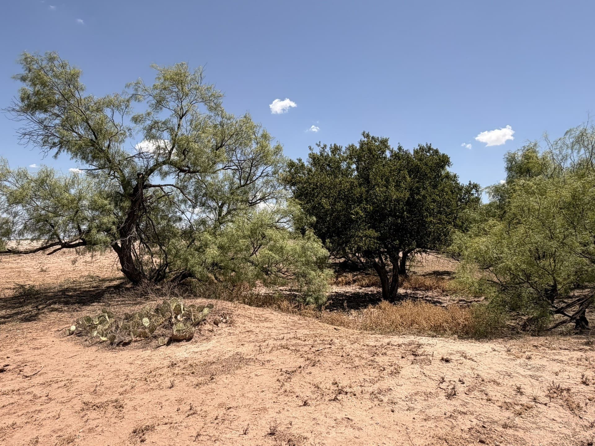 505 acres in Childress County - photo 40