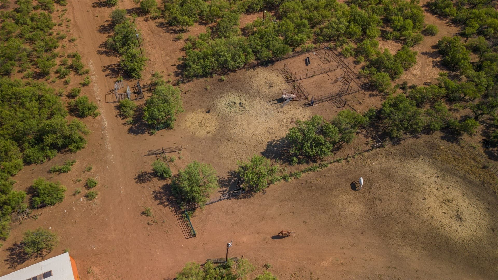 505 acres in Childress County - photo 21
