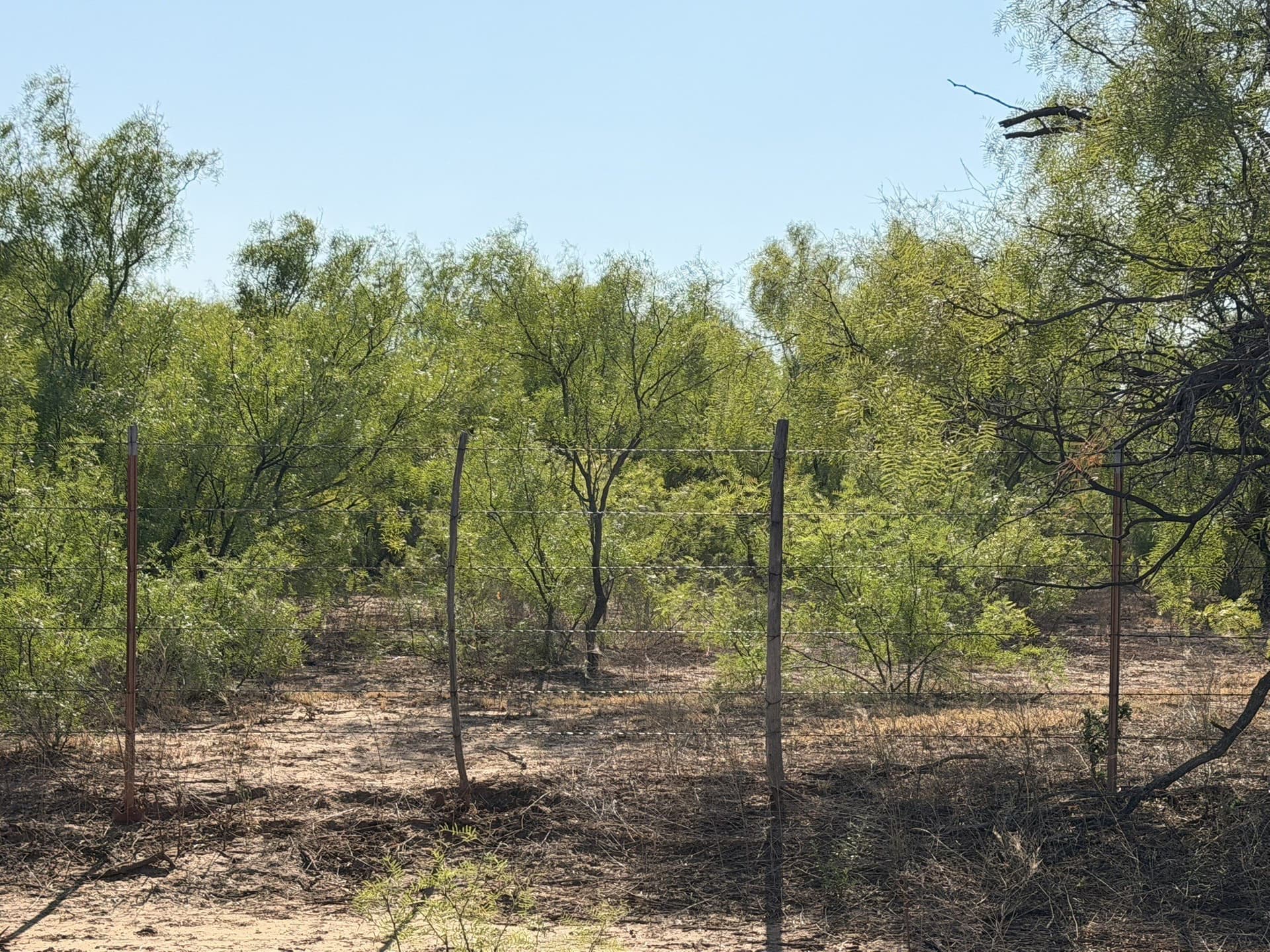 505 acres in Childress County - photo 24