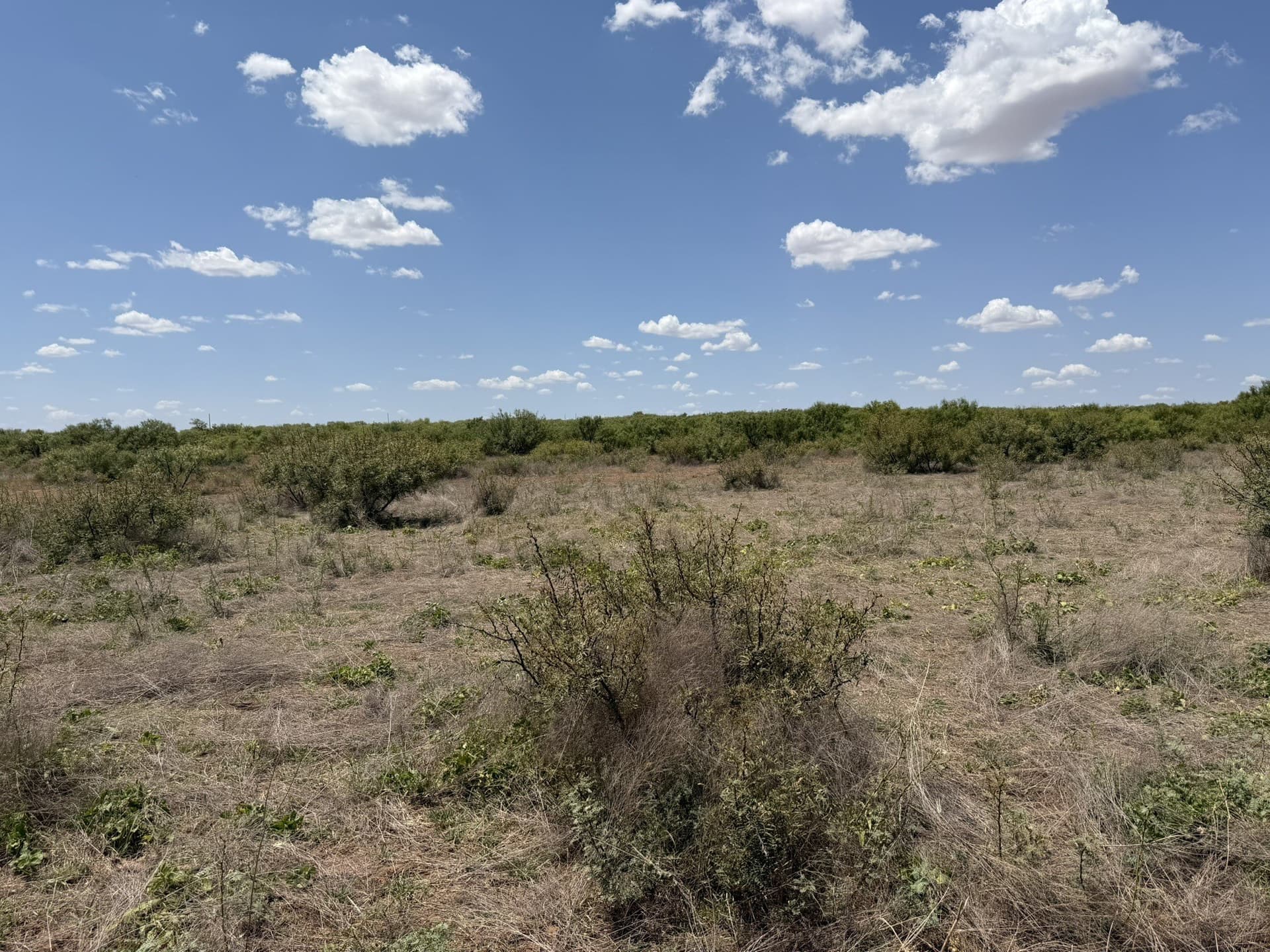 505 acres in Childress County - photo 34