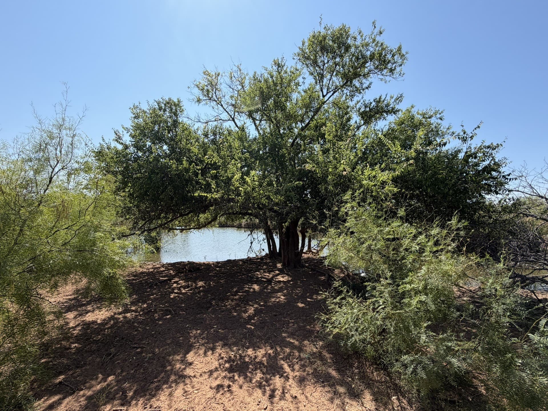 505 acres in Childress County - photo 29