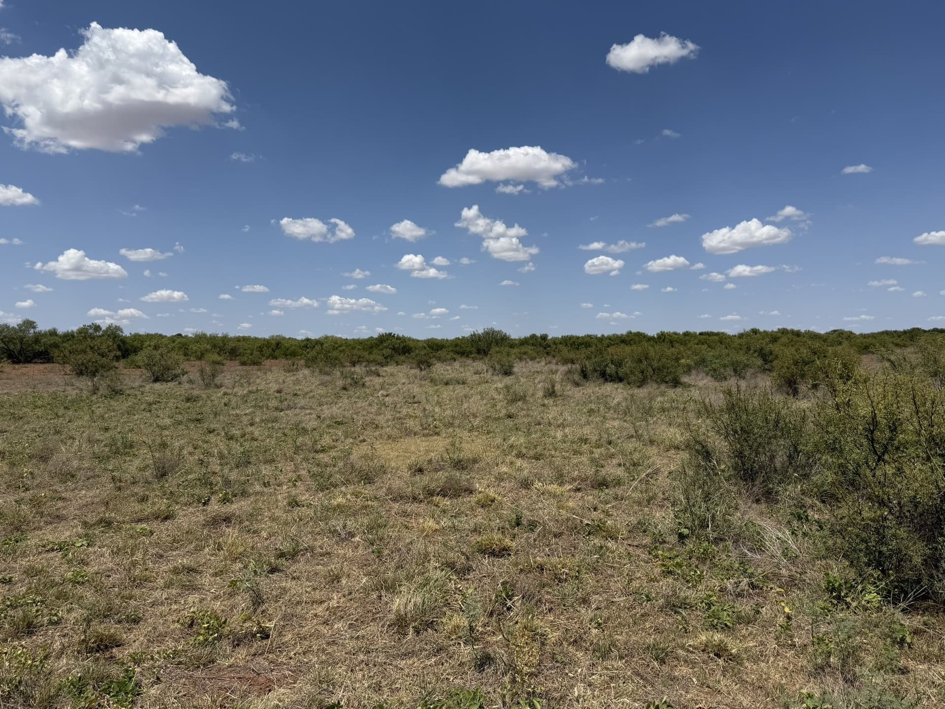 505 acres in Childress County - photo 35