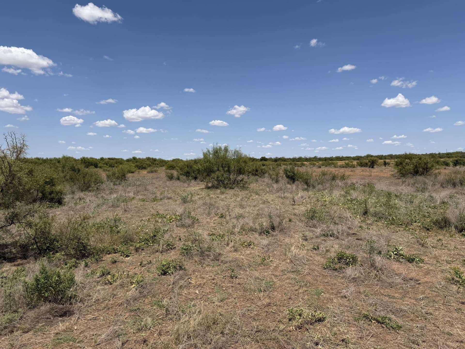 505 acres in Childress County - photo 36