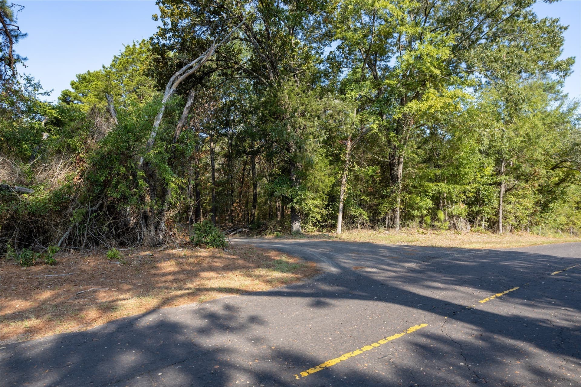3.06 acres in Wood County - photo 9