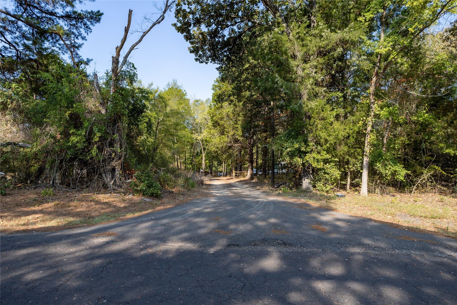 3.06 acres in Wood County - photo 10
