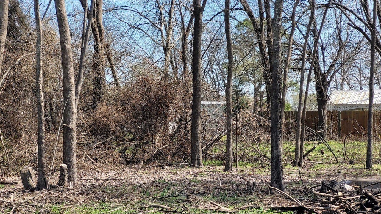0.36 acres in Navarro County gallery image 3