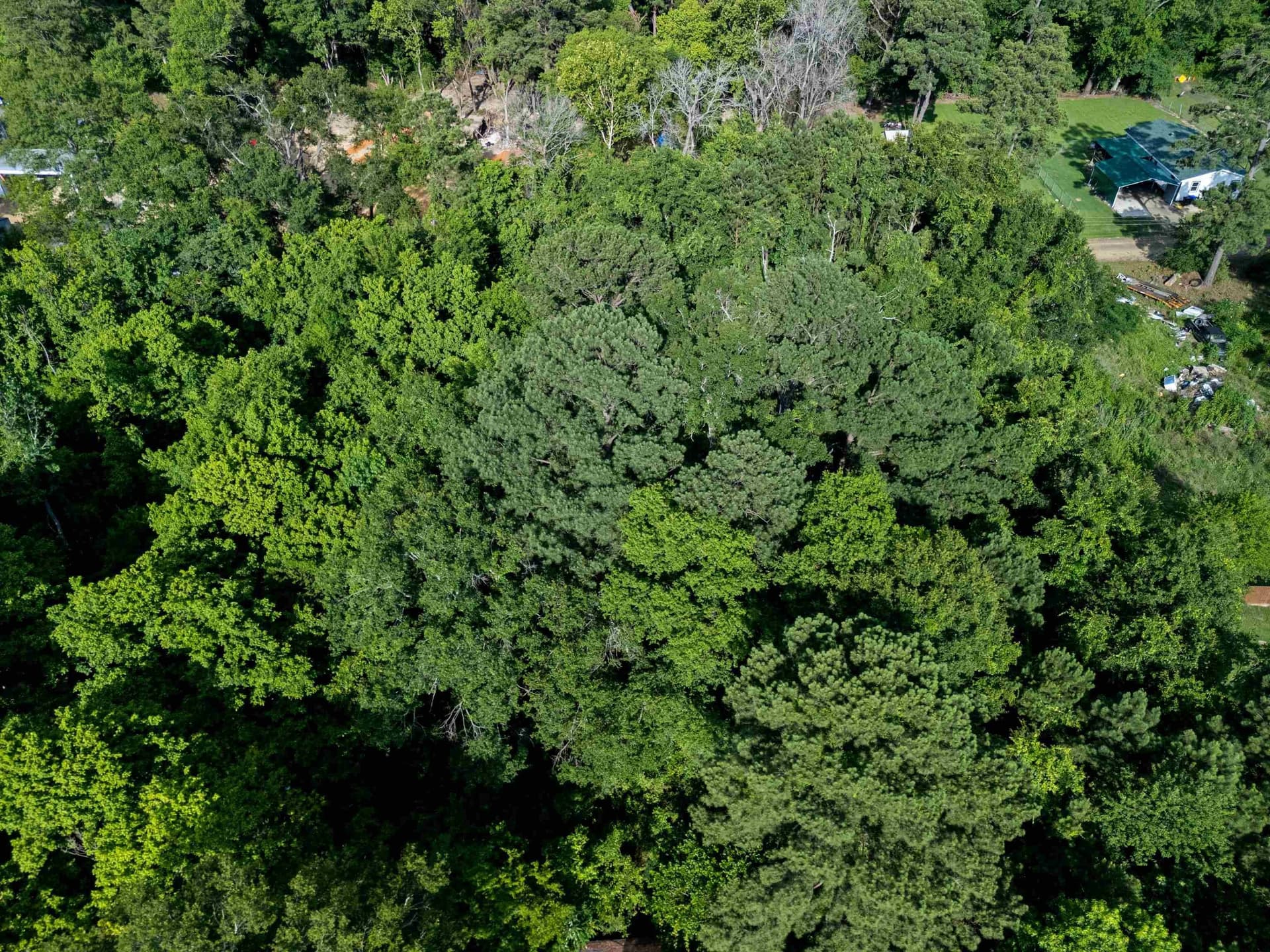 0.68 acres in Texas County - photo 12