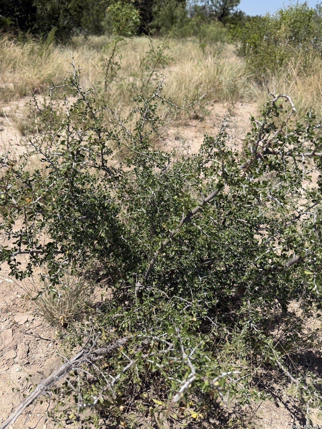 21.16 acres in Edwards County - photo 25