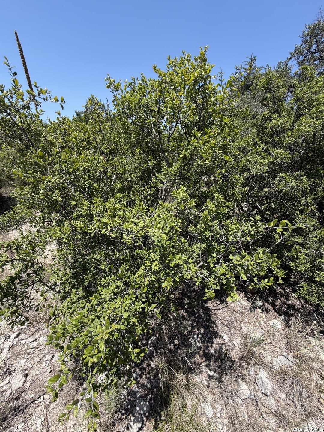 21.16 acres in Edwards County - photo 35
