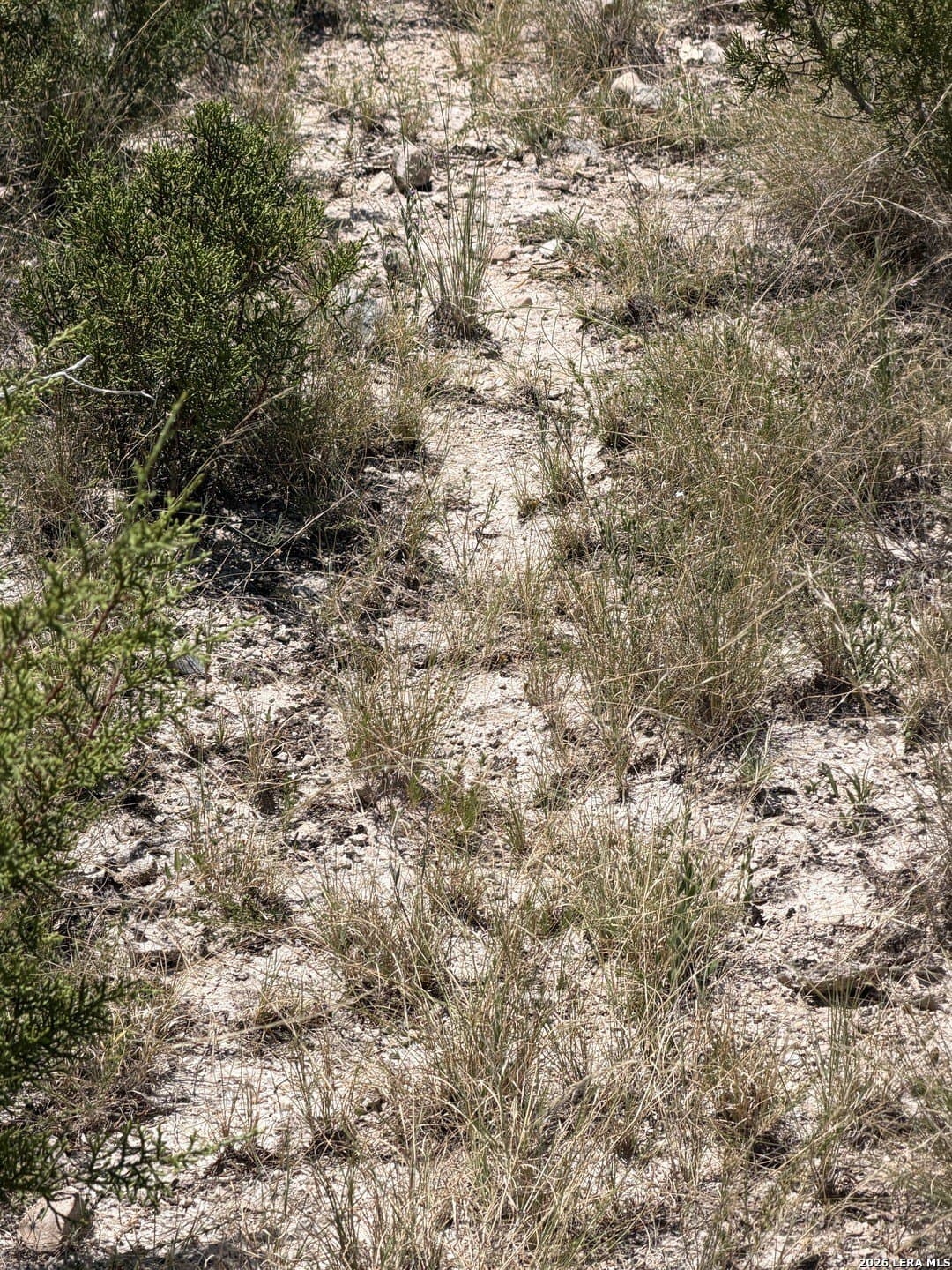 21.16 acres in Edwards County - photo 28