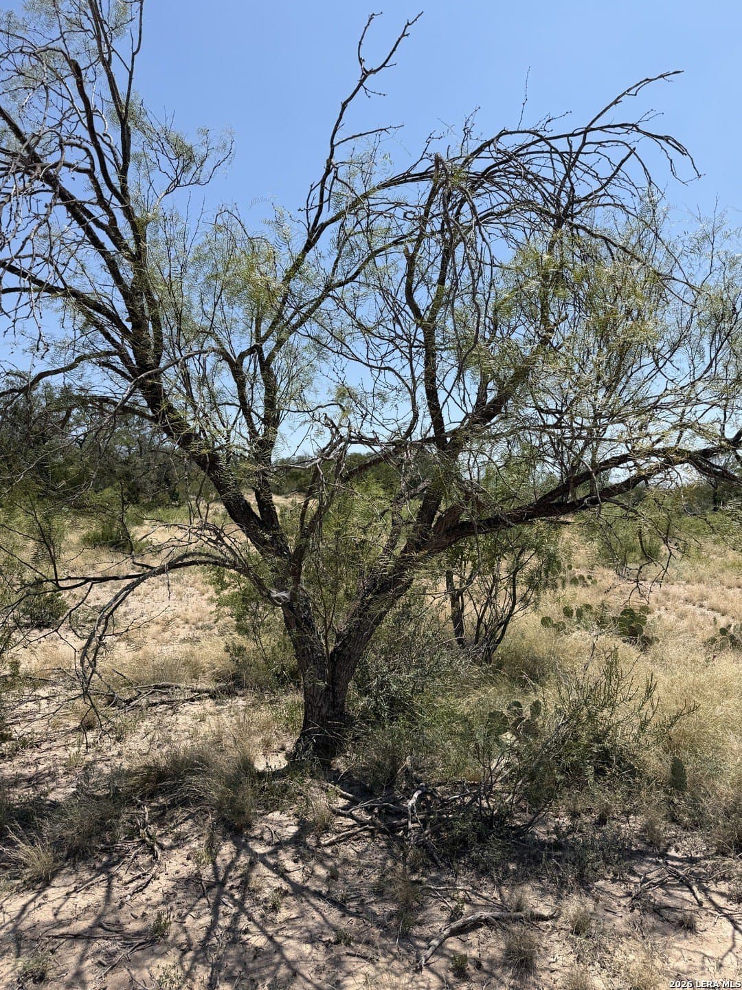 21.16 acres in Edwards County - photo 20