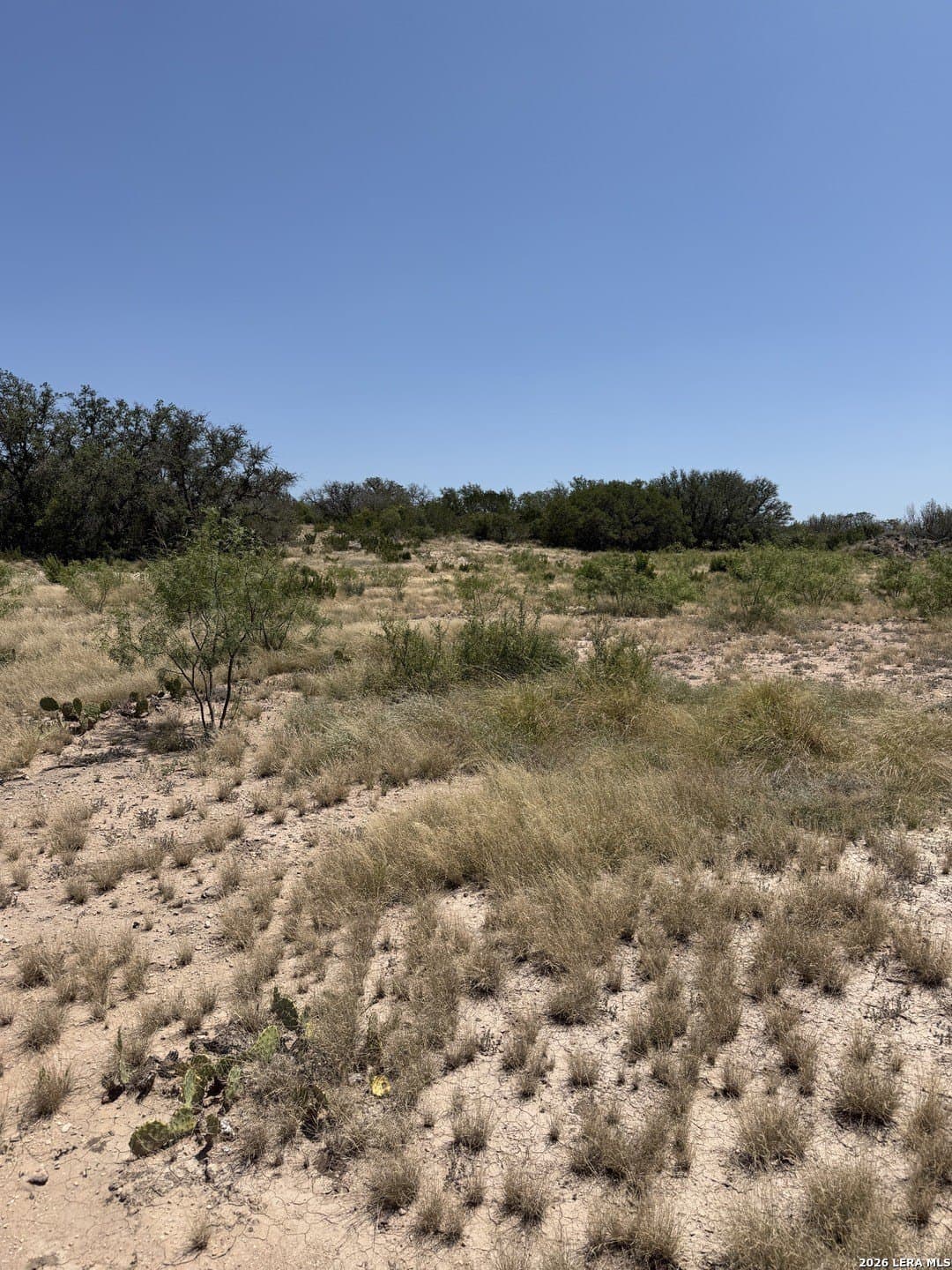 21.16 acres in Edwards County - photo 21