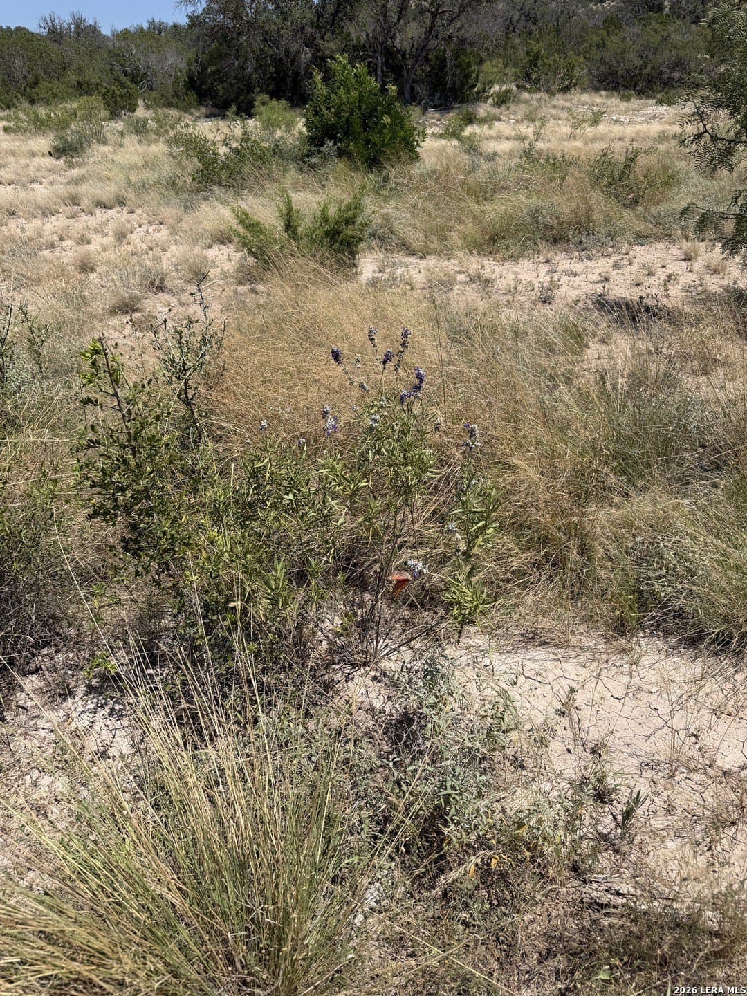 21.16 acres in Edwards County - photo 24