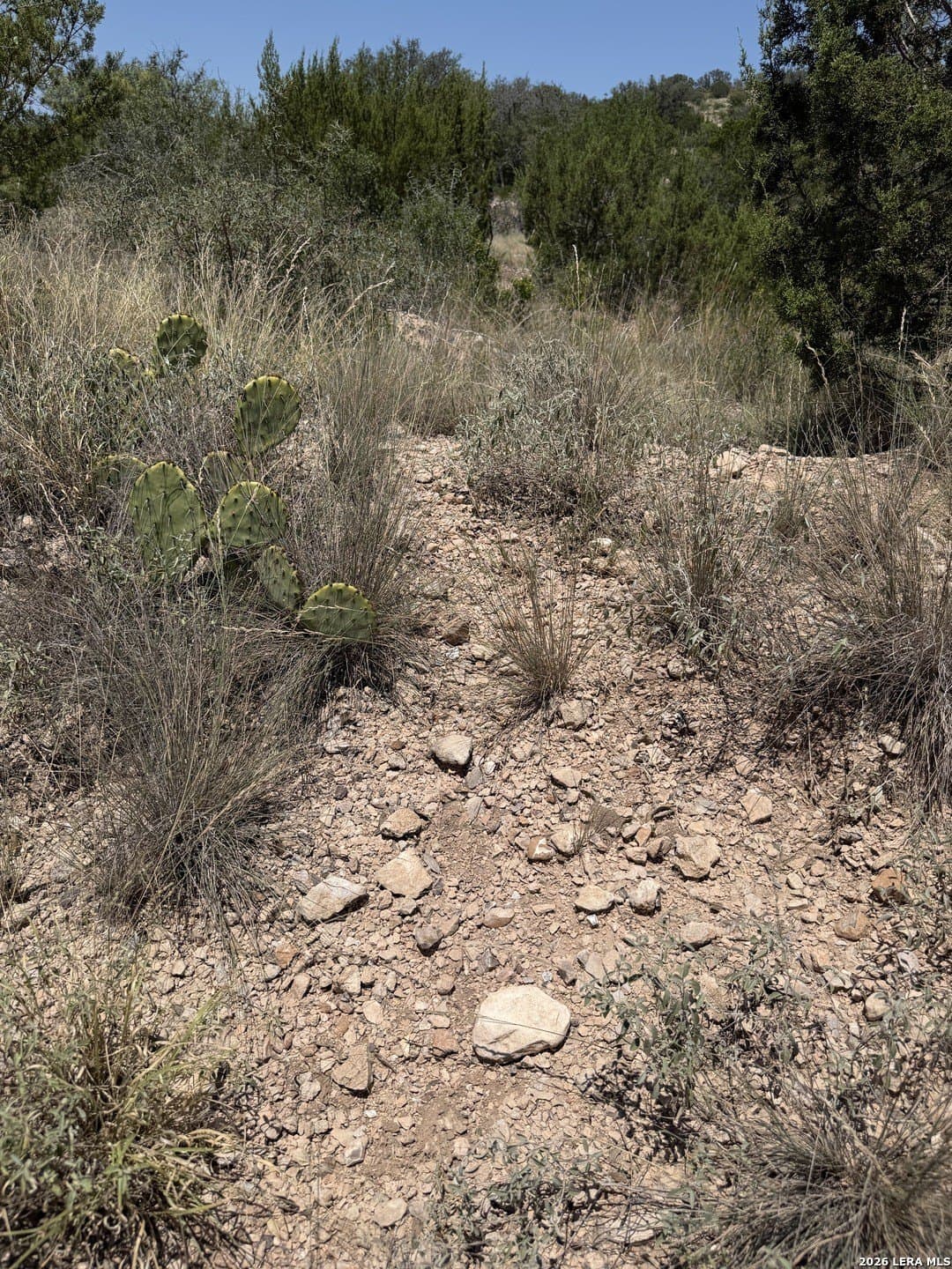 21.16 acres in Edwards County - photo 36