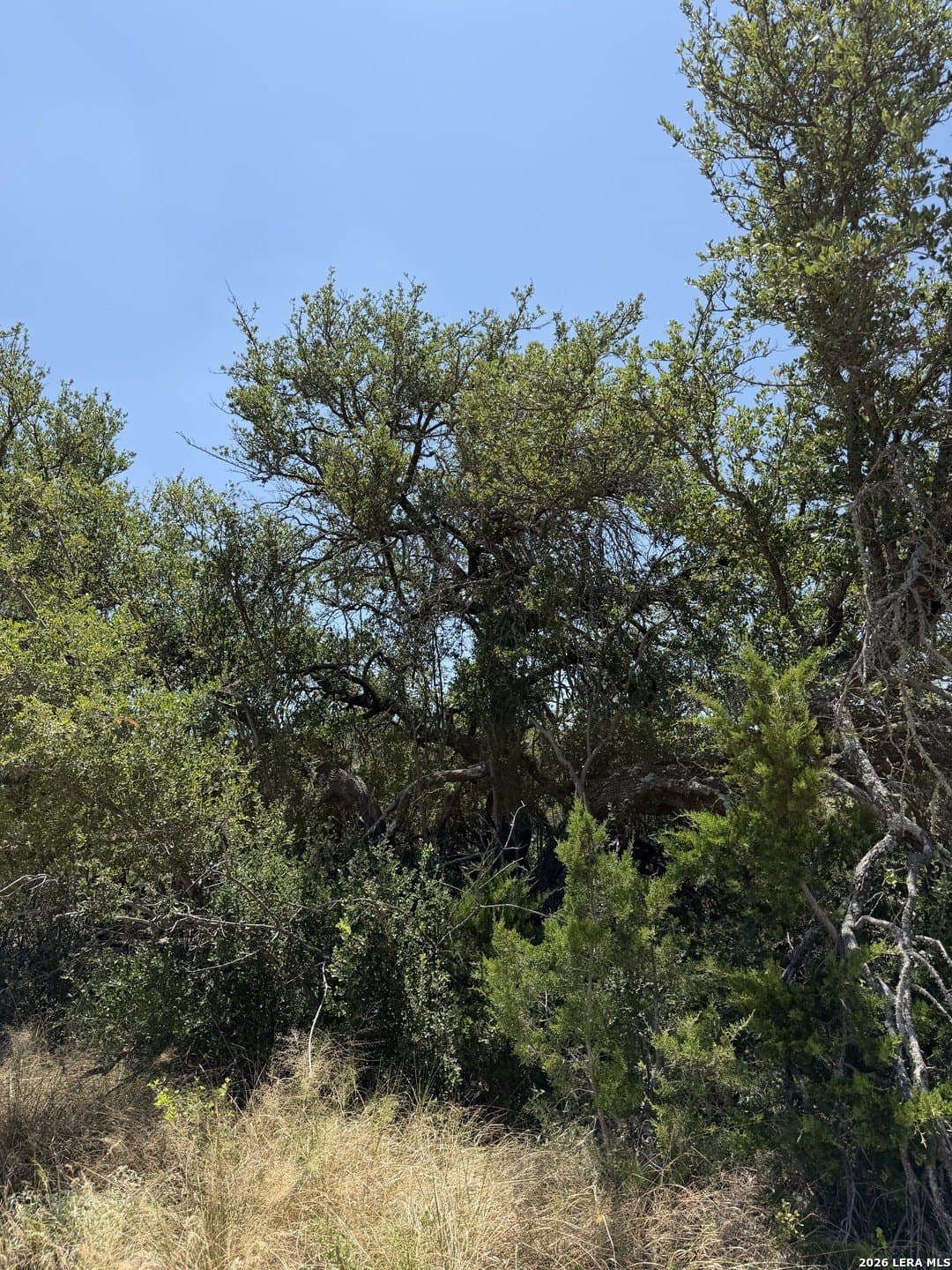 21.16 acres in Edwards County - photo 23