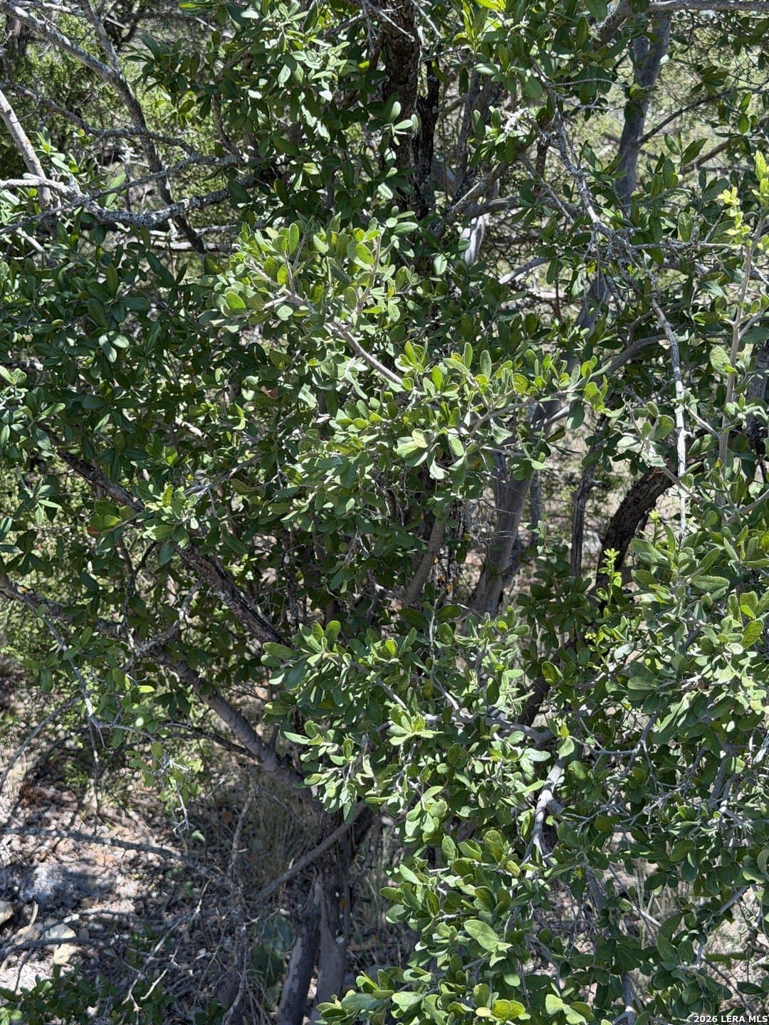 21.16 acres in Edwards County - photo 30