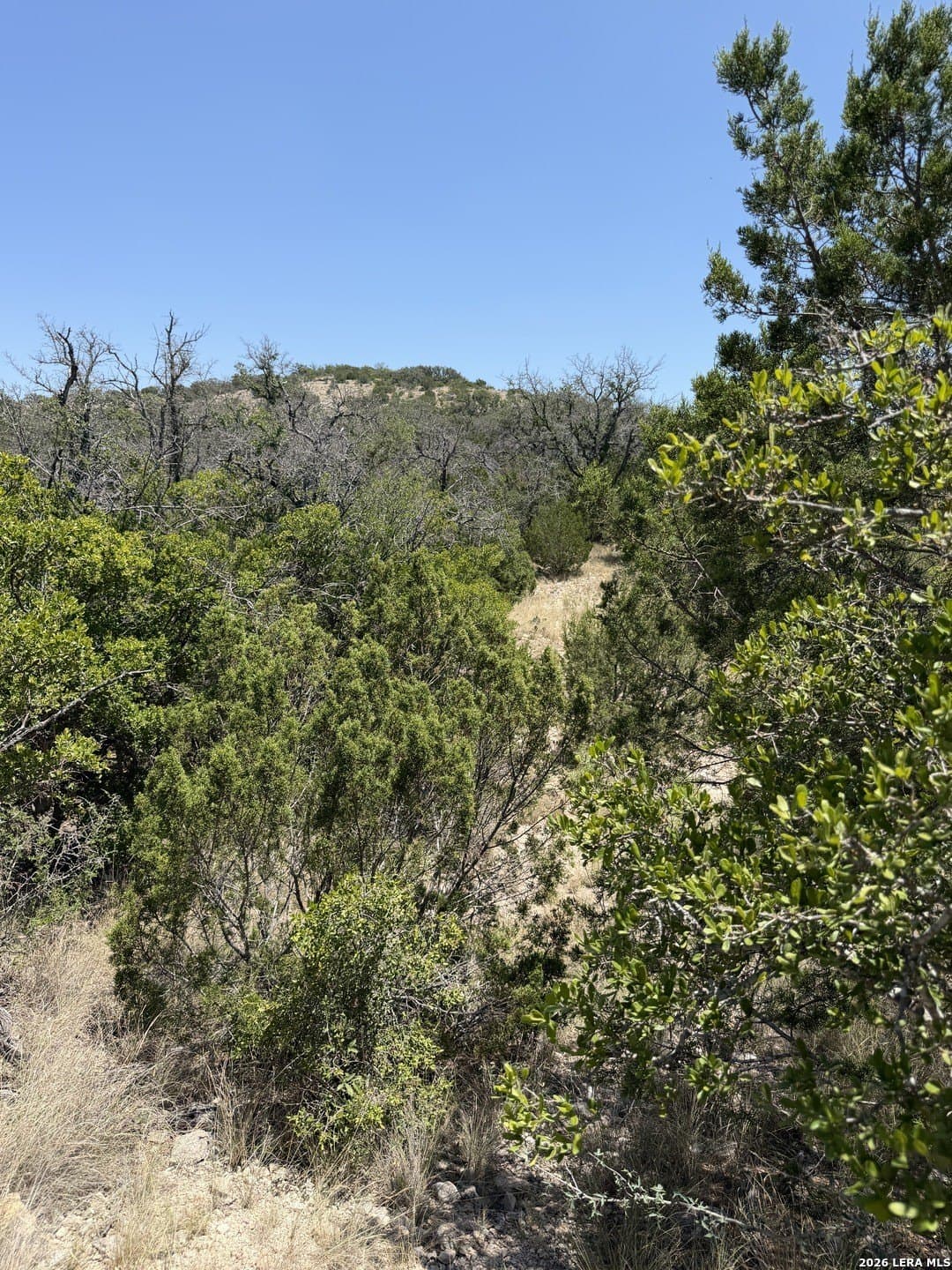 21.16 acres in Edwards County - photo 37