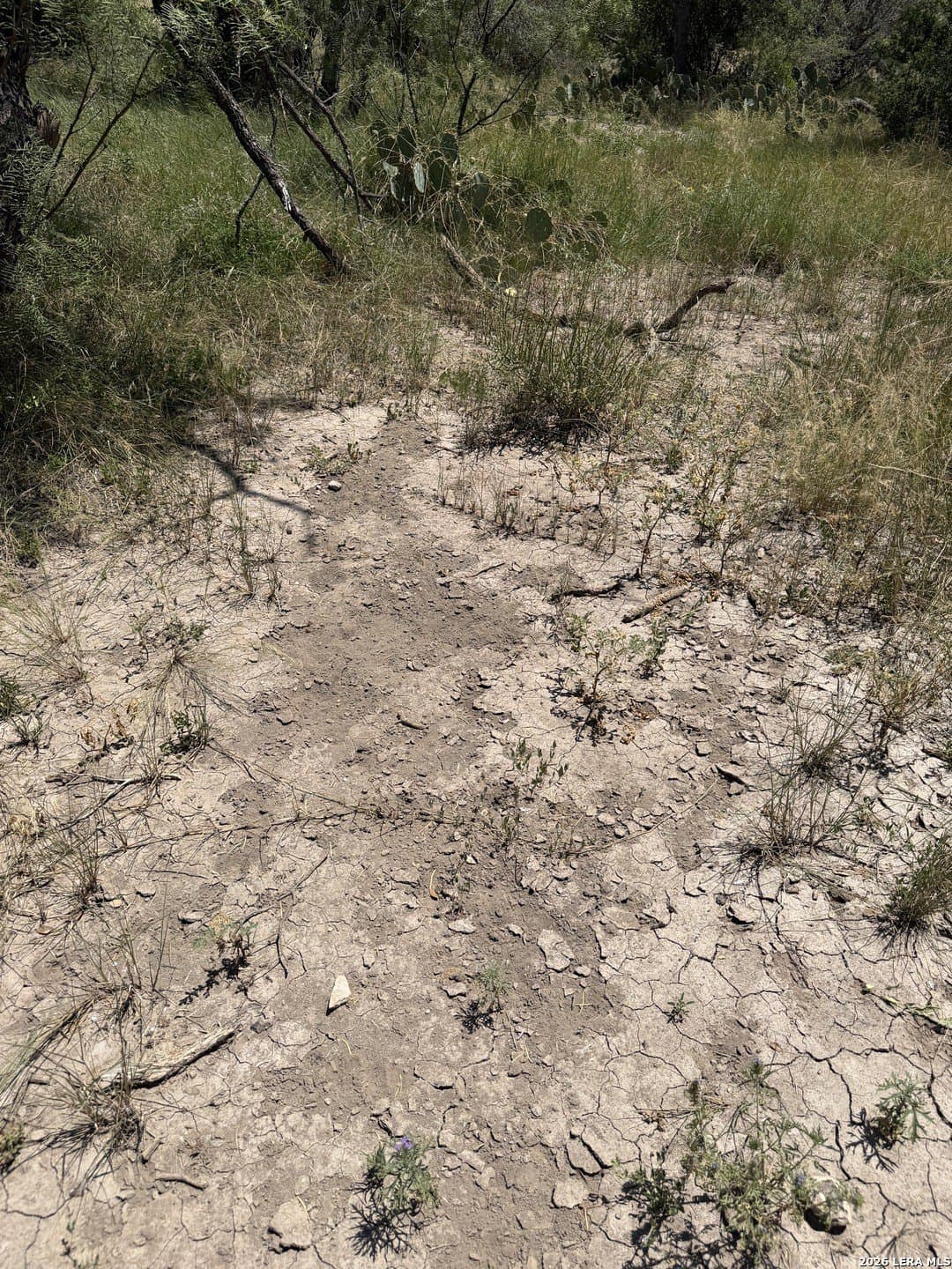21.16 acres in Edwards County - photo 40