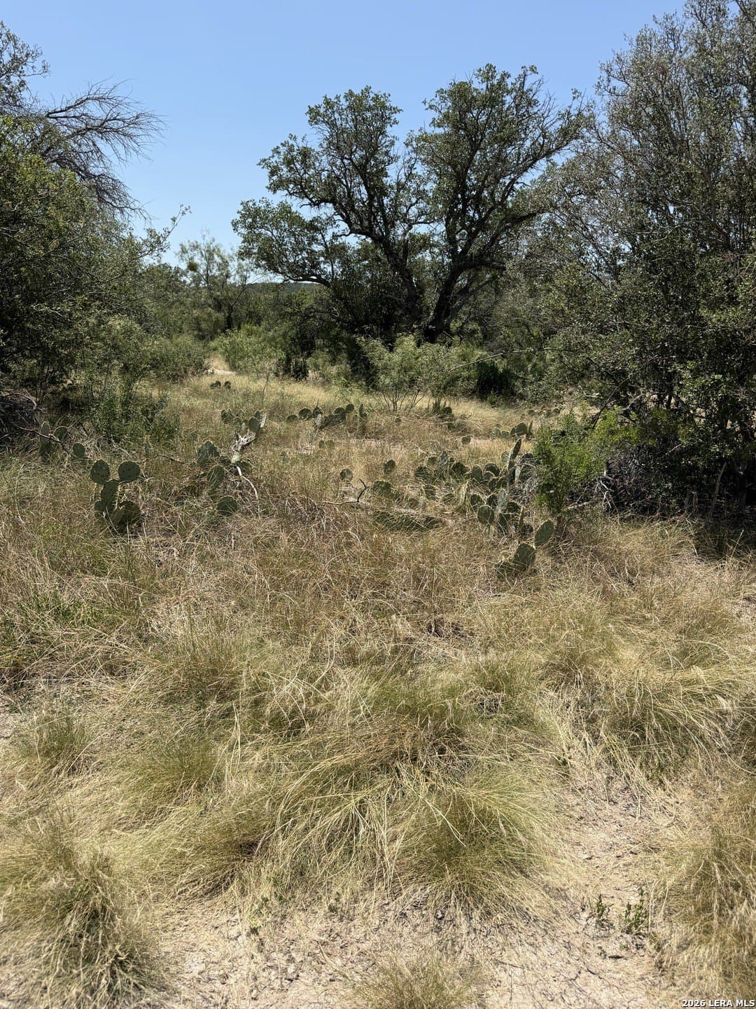 21.16 acres in Edwards County - photo 39
