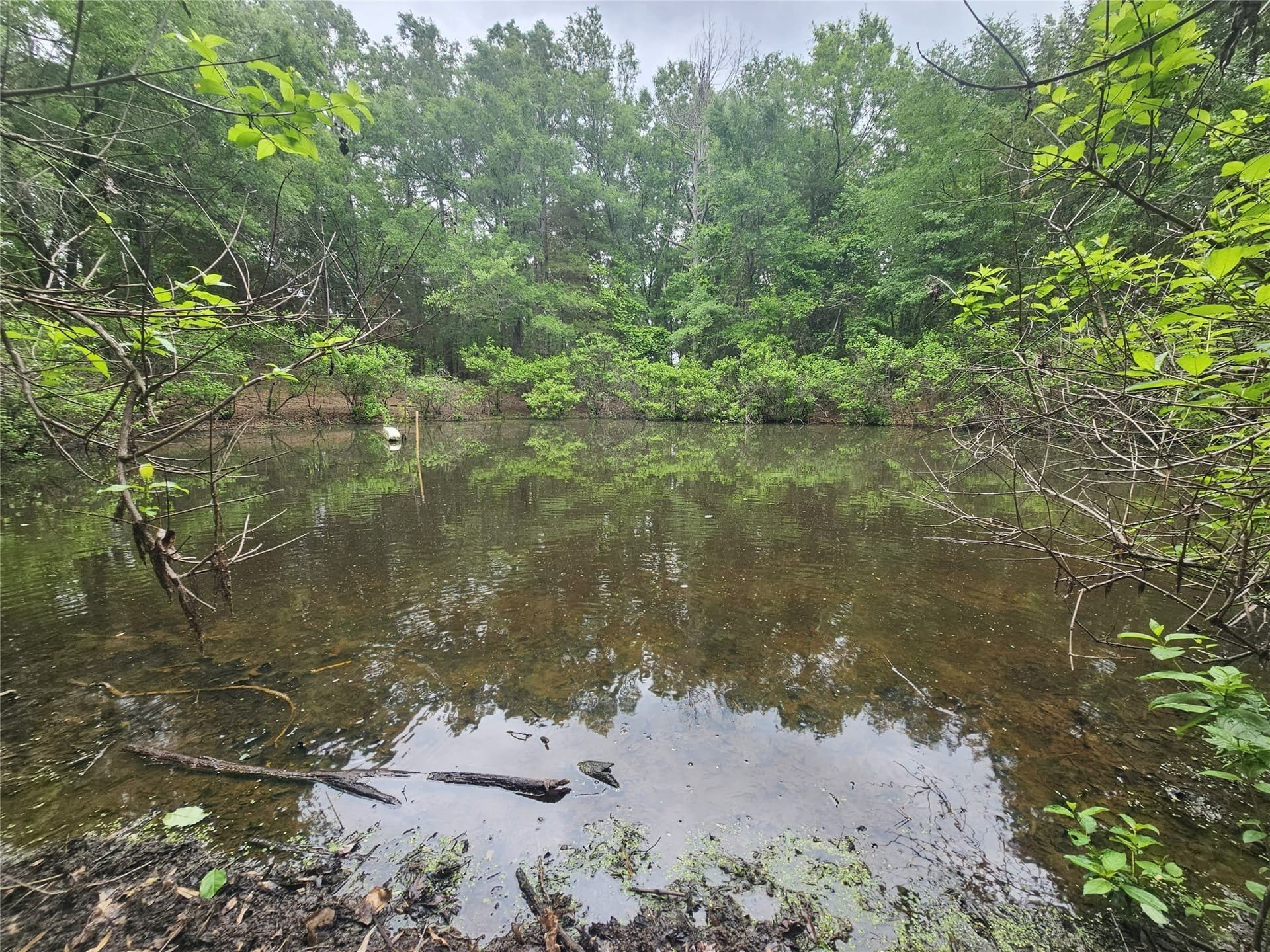 38 acres in Lamar County - photo 32