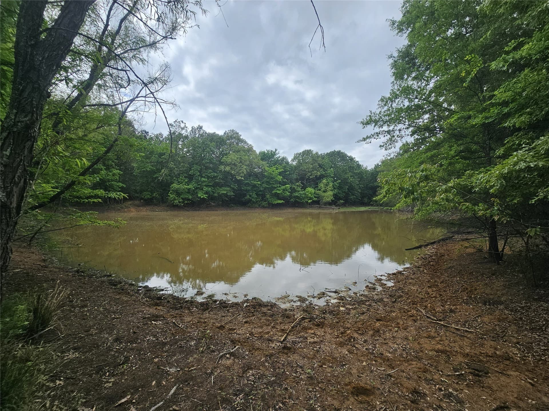 38 acres in Lamar County - photo 35