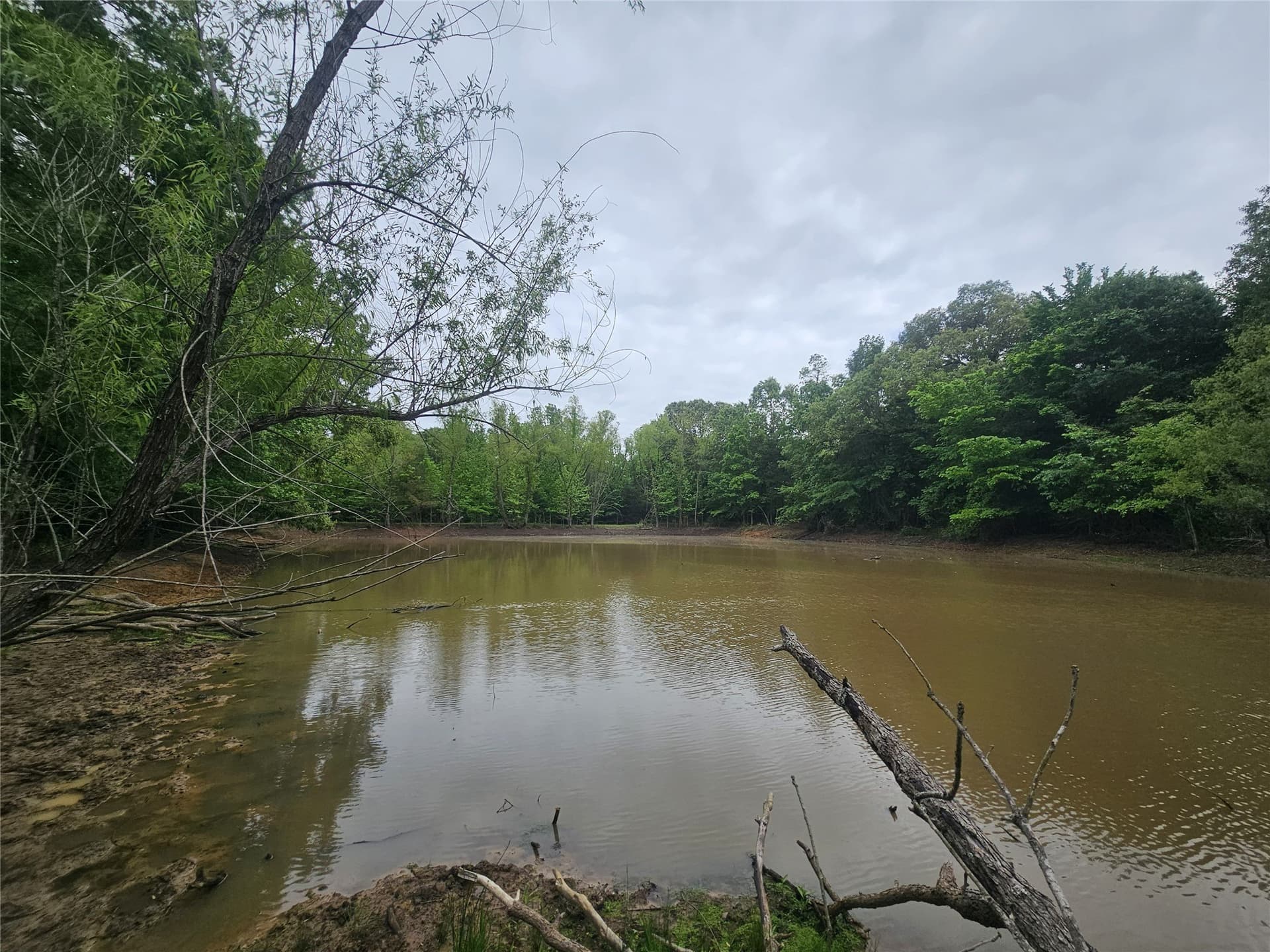 38 acres in Lamar County - photo 34