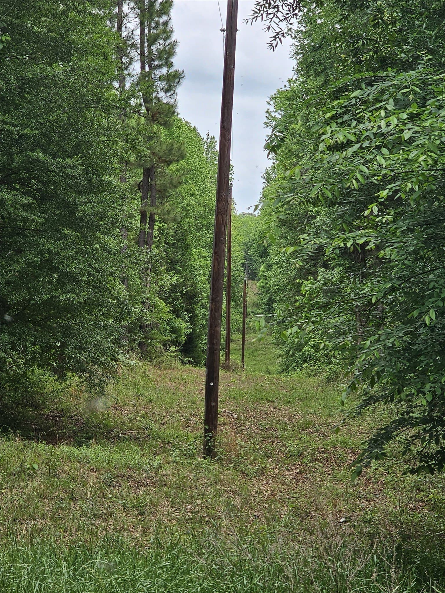 38 acres in Lamar County - photo 30