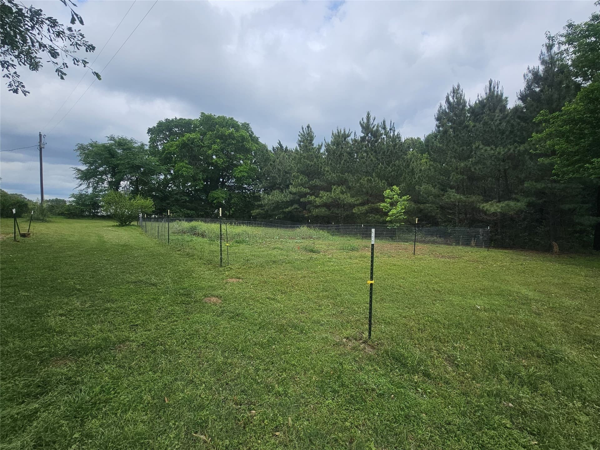 38 acres in Lamar County - photo 28