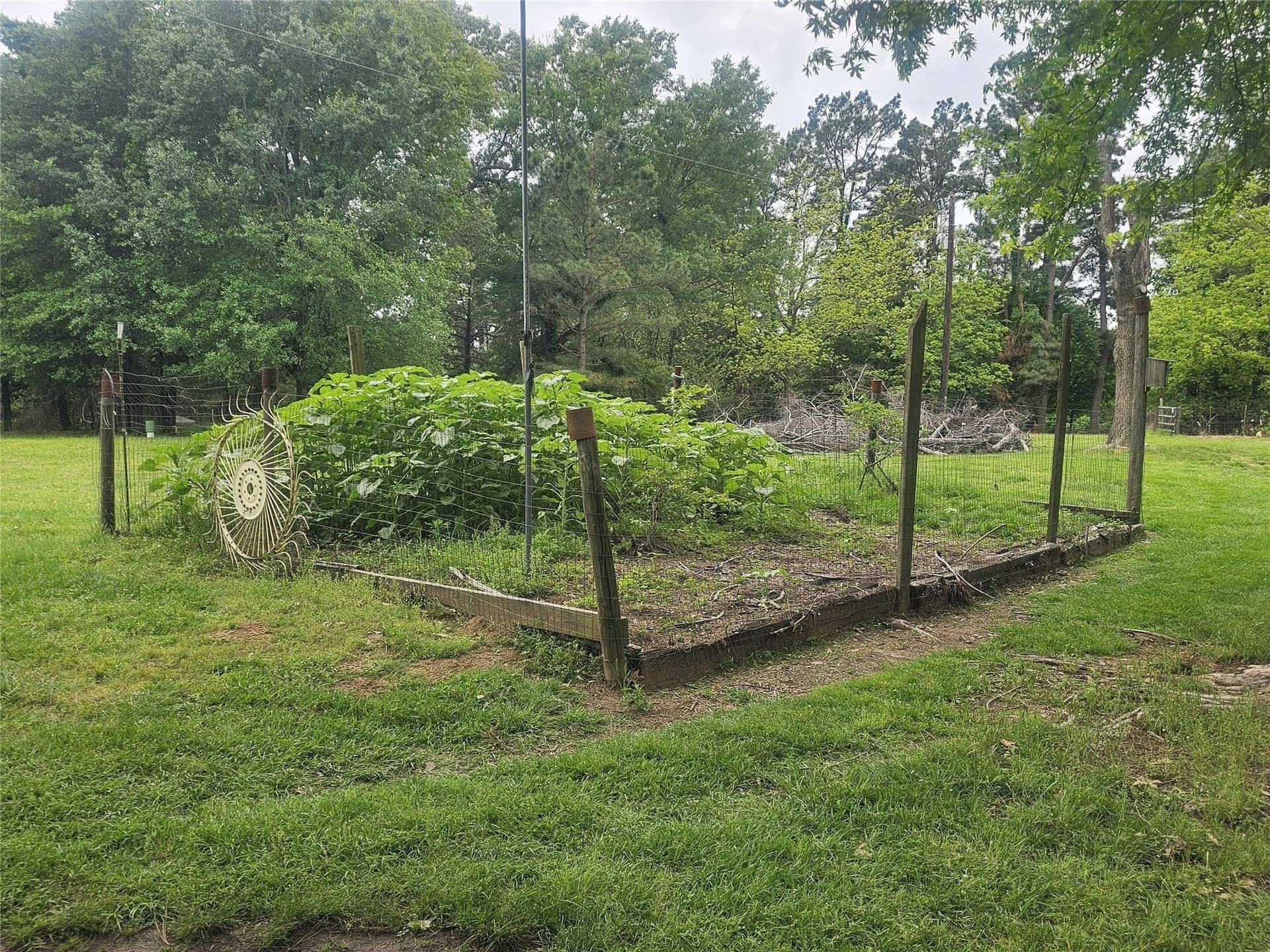 38 acres in Lamar County - photo 27