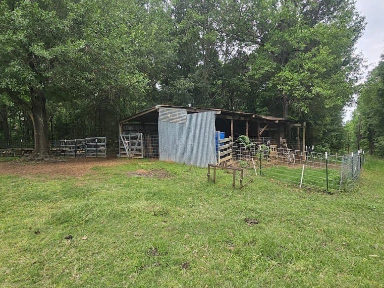 38 acres in Lamar County - photo 29
