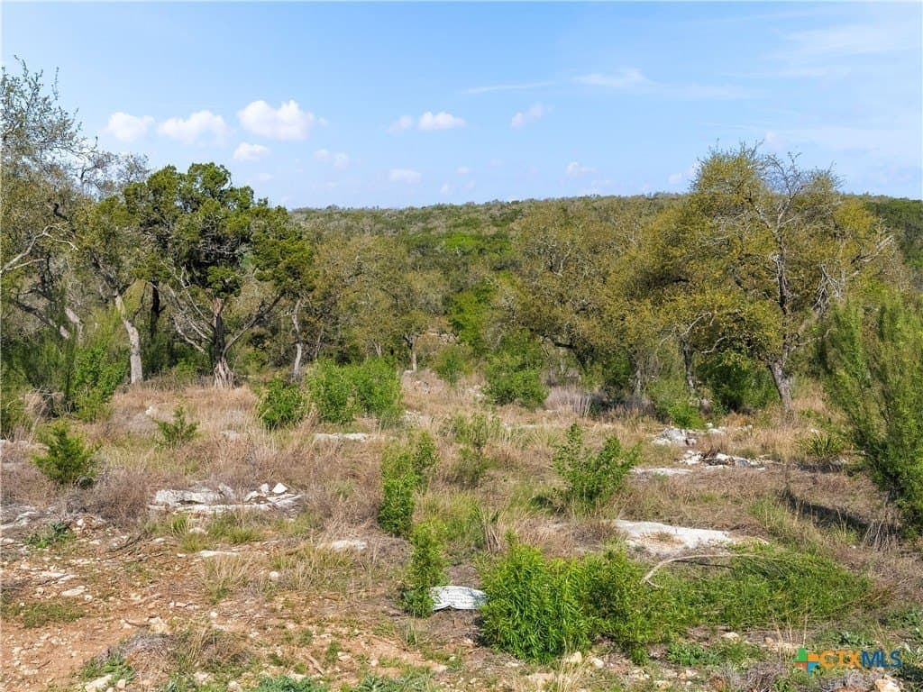2.49 acres in Comal County - photo 24