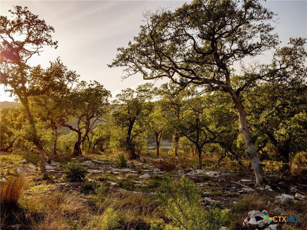 2.49 acres in Comal County - photo 20