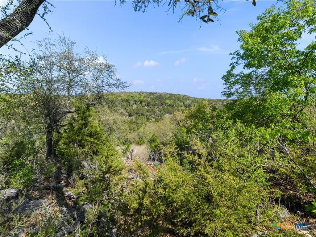 2.49 acres in Comal County - photo 26