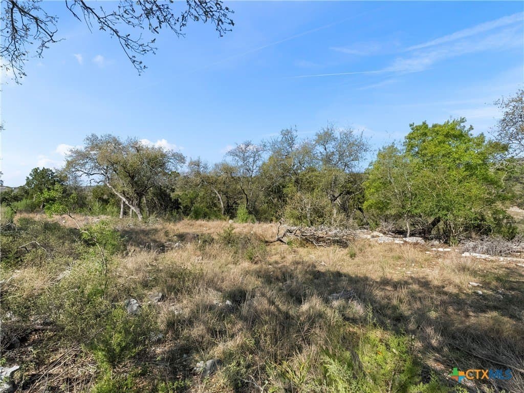 2.49 acres in Comal County - photo 25