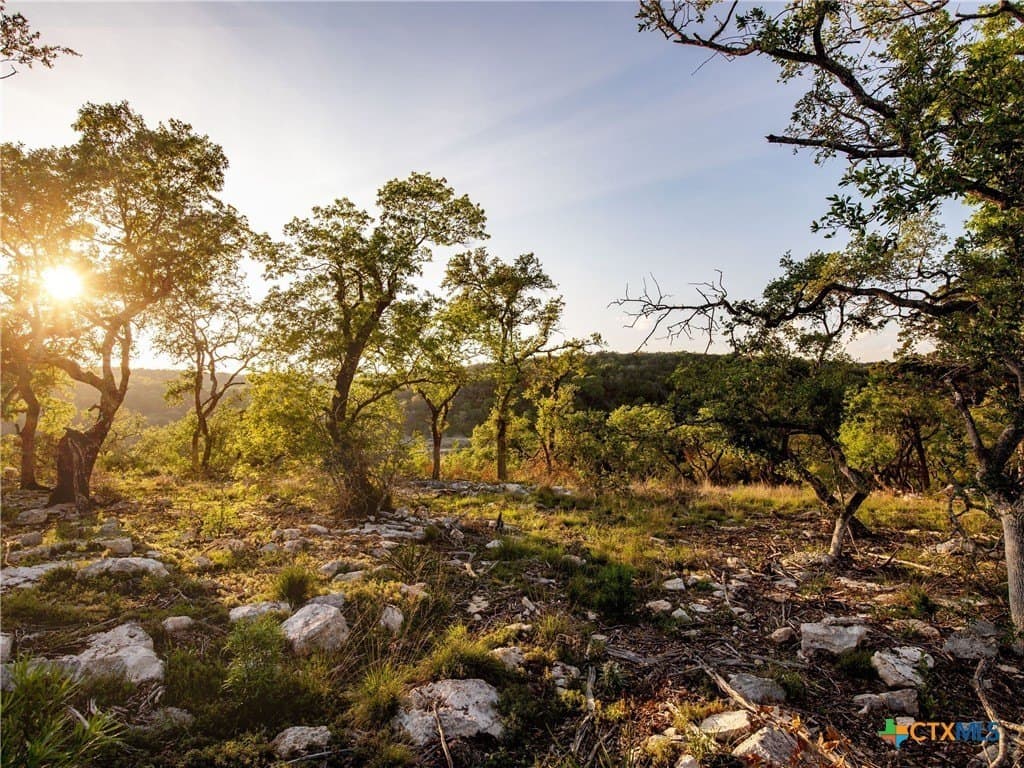2.49 acres in Comal County gallery image 3