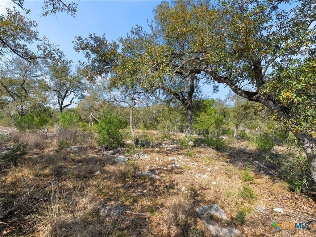 2.49 acres in Comal County - photo 31