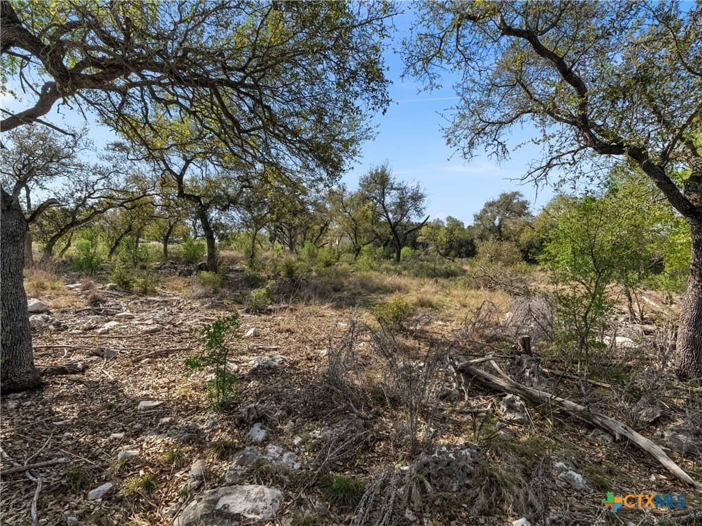 2.49 acres in Comal County - photo 21