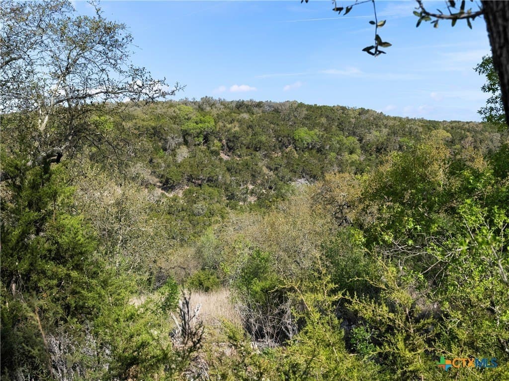 2.49 acres in Comal County - photo 28