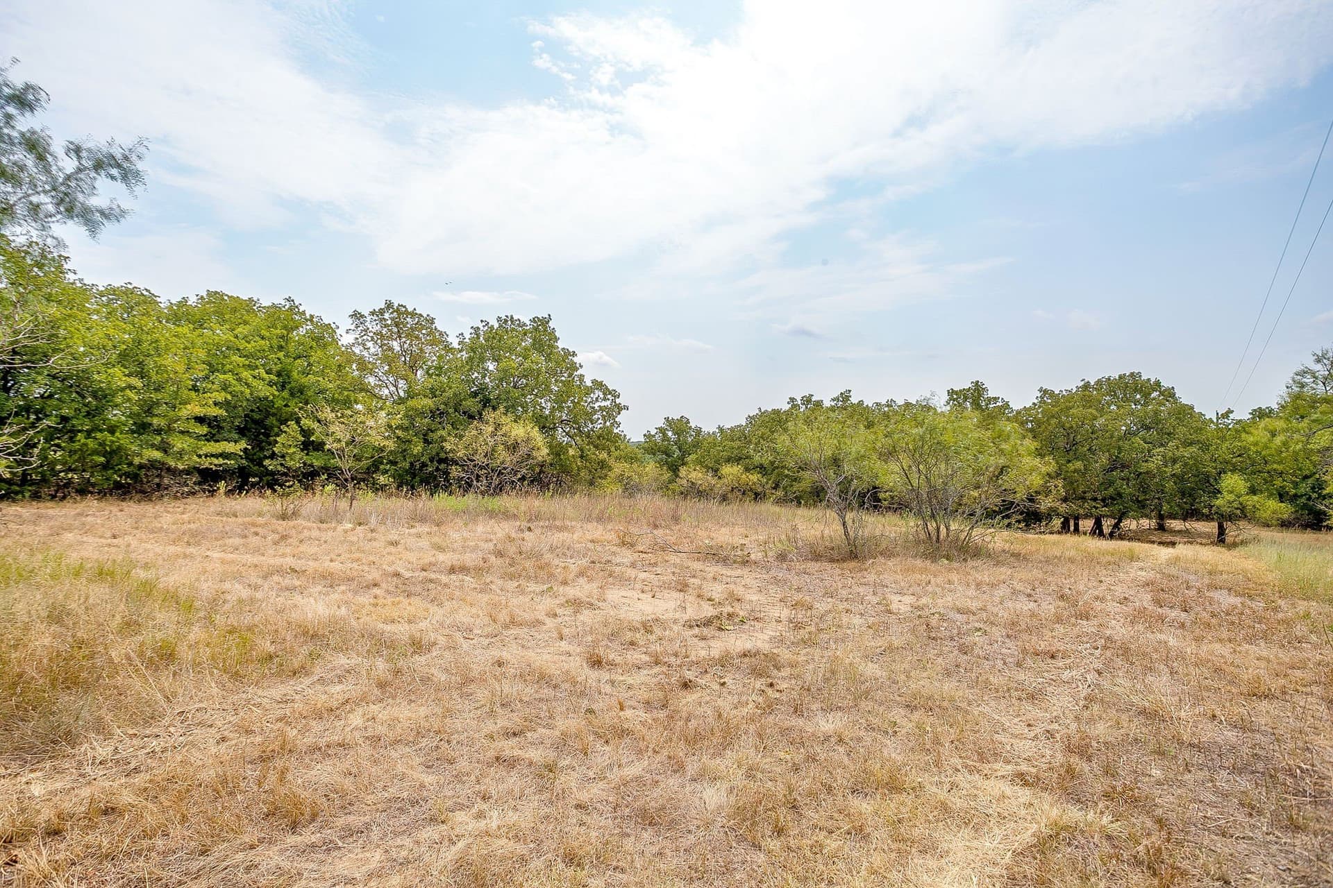 5.01 acres in Montague County gallery image 4