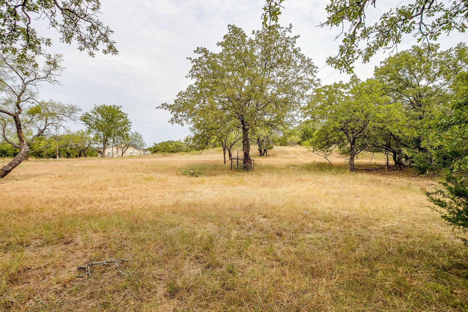 5.01 acres in Montague County gallery image 3