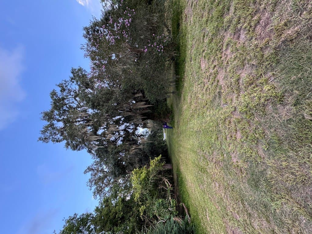 10.45 acres in Texas County gallery image 2