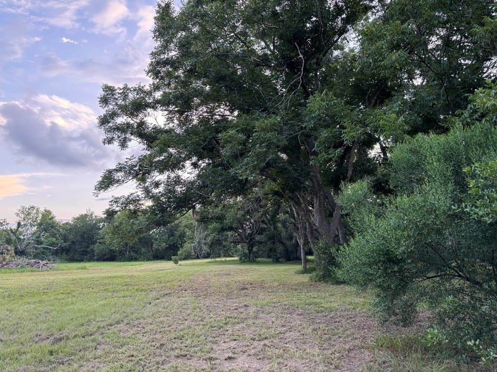 10.45 acres in Texas County gallery image 4