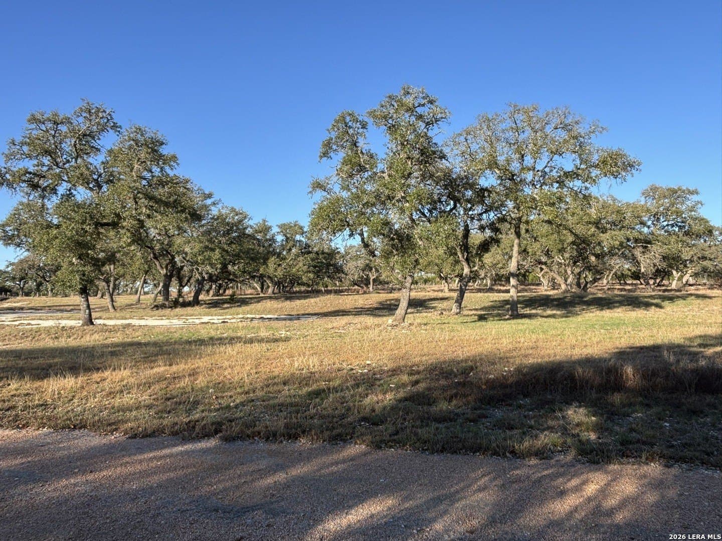 12.5 acres in Kendall County - photo 8