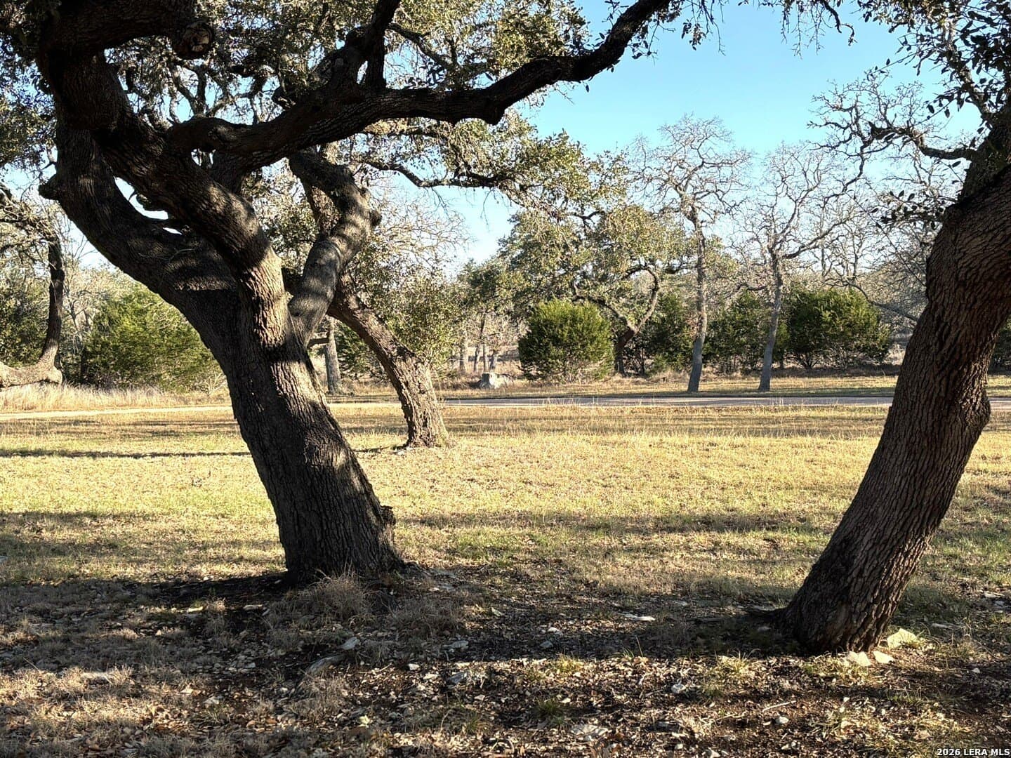 12.5 acres in Kendall County - photo 7