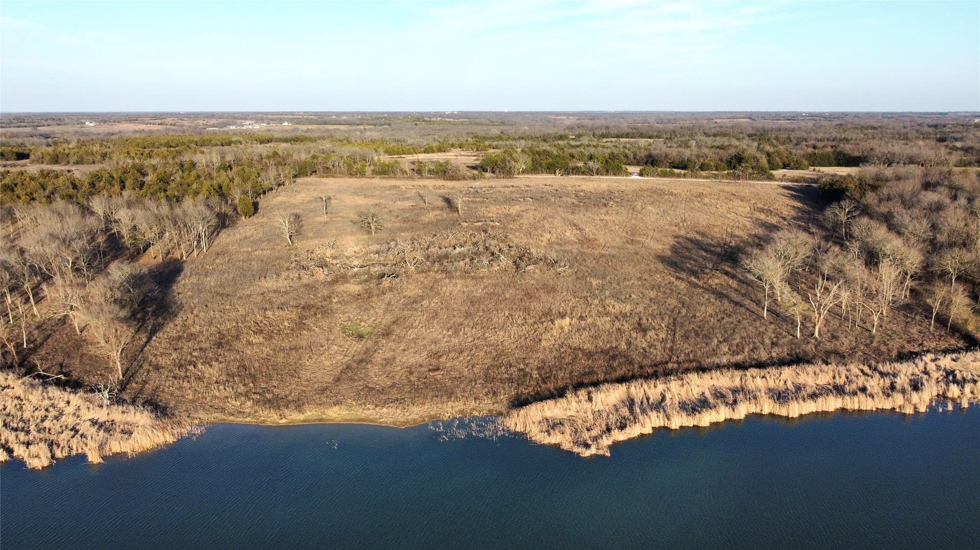 56.1 acres in Fannin County - photo 5