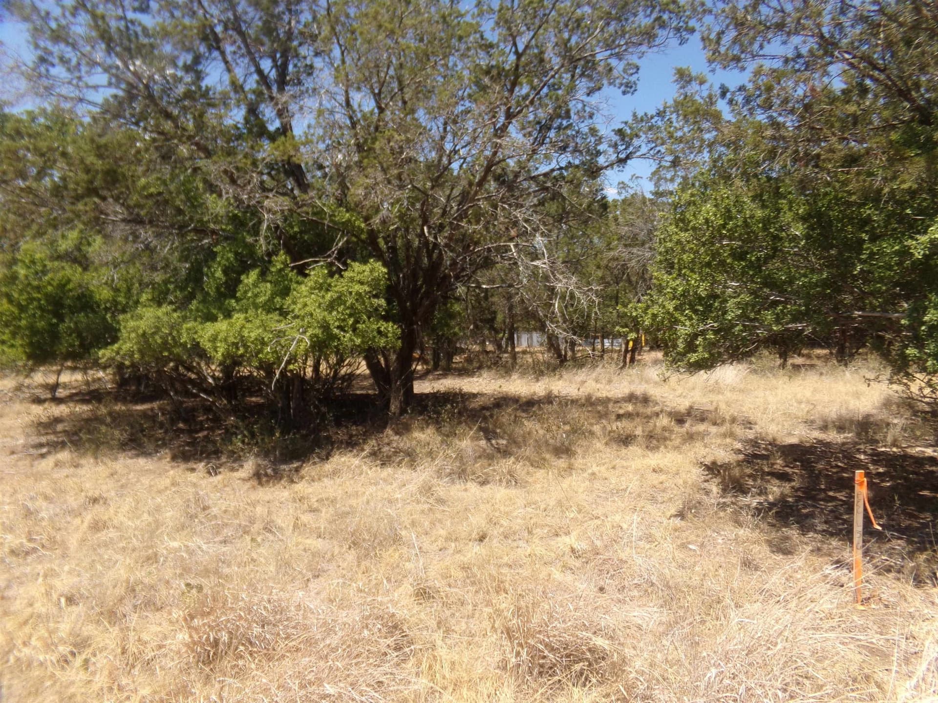 0.11 acres in Burnet County gallery image 3