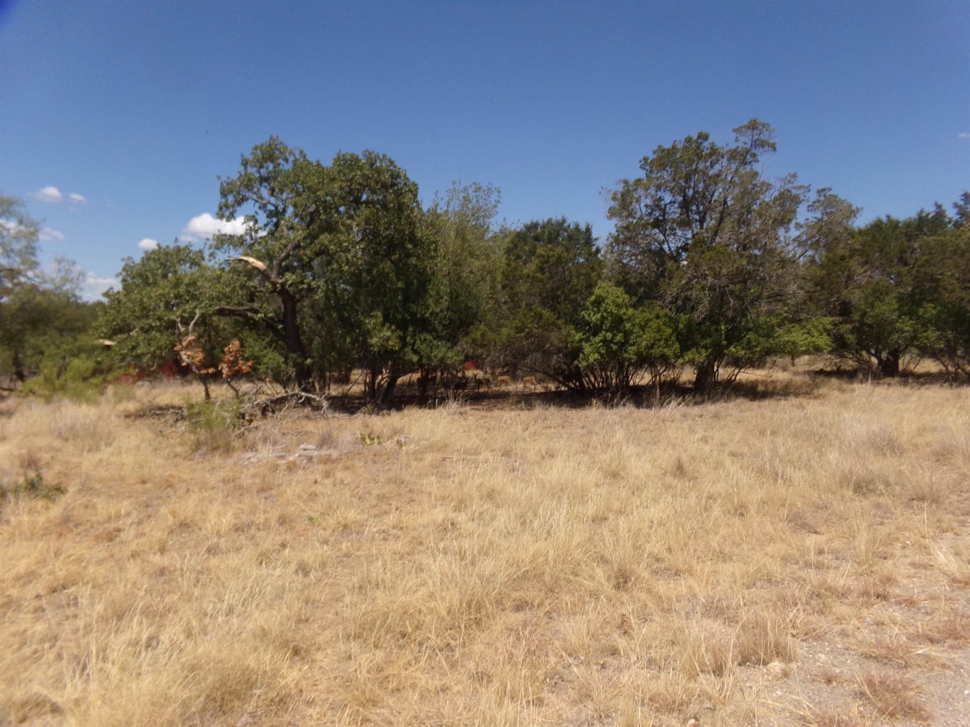 0.11 acres in Burnet County gallery image 2